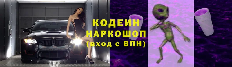 kraken ссылки  купить наркоту  Камышлов  Codein Purple Drank 